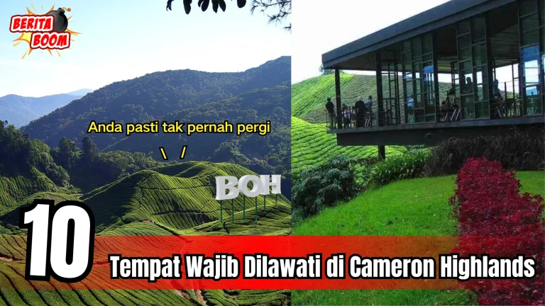 10 Tempat Wajib Dilawati di Cameron Highlands